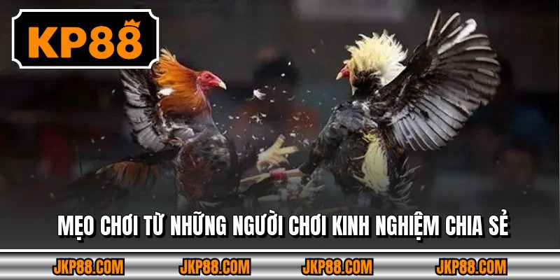 Mẹo chơi từ những người chơi kinh nghiệm chia sẻ