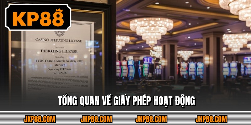 Tổng quan về giấy phép hoạt động